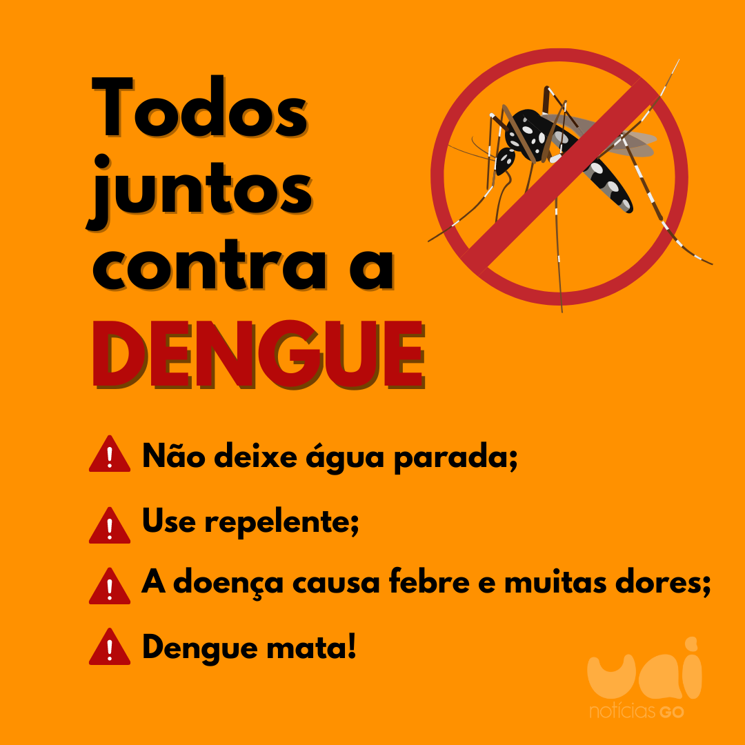 Dengue-combate-a-dengue-detalhes-vermelhos-2