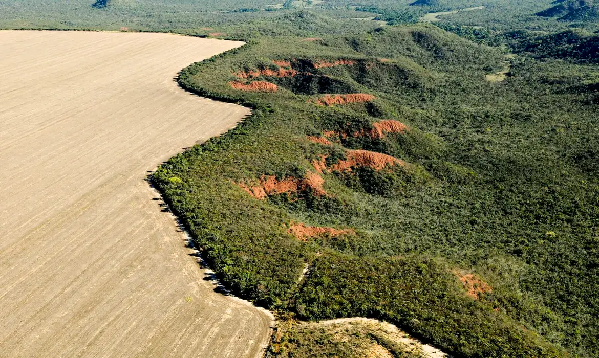 cerrado